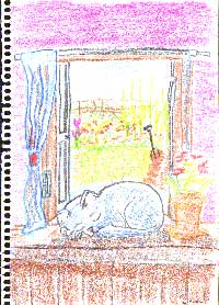 garden window cat